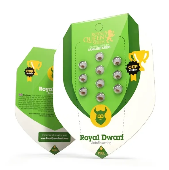 Royal Dwarf Automatic