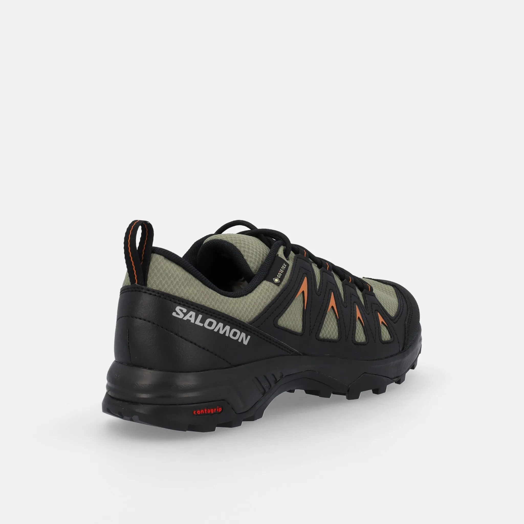 Salomon X BRAZE GTX