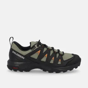 Salomon X BRAZE GTX